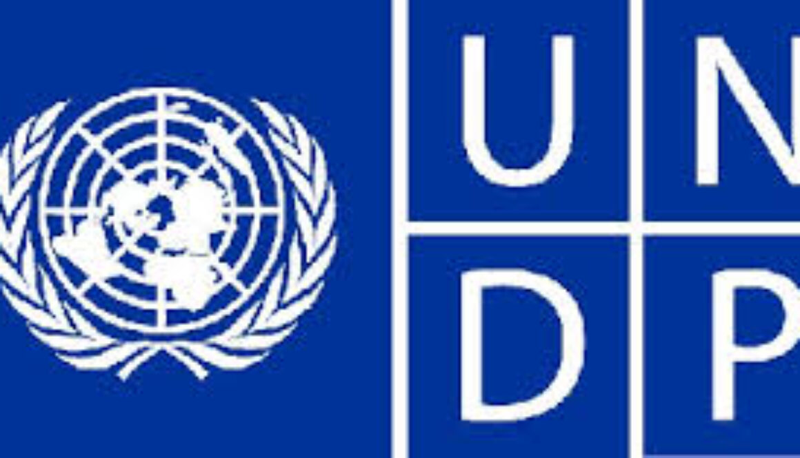 logo-UNDP